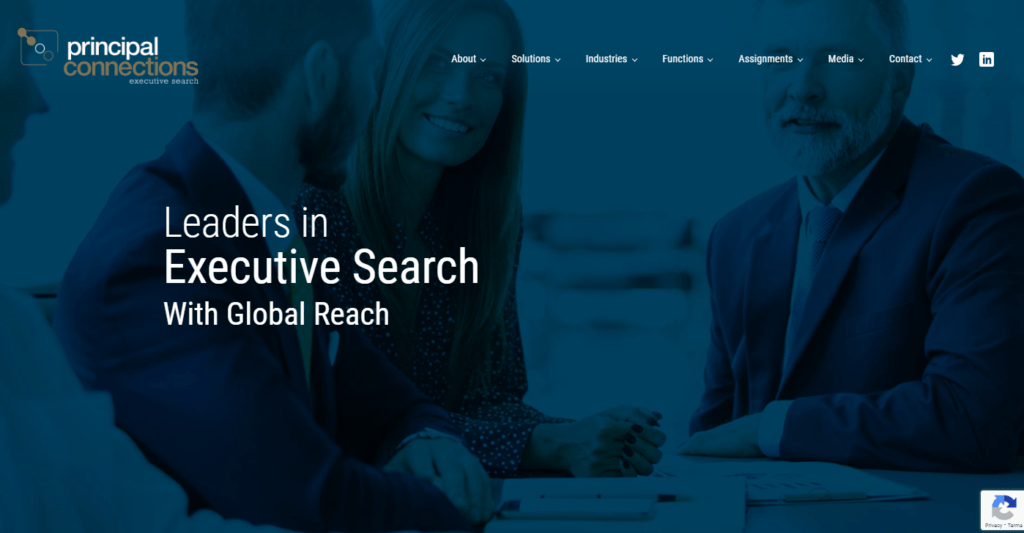 Principal Connections website by thenet.ie