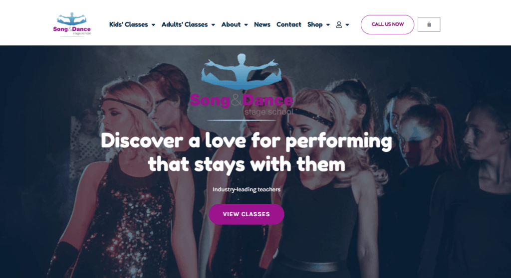 Song and Dance Ireland website by thenet.ie